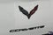 2019 Chevrolet Corvette Grand Sport Grand Sport 1LT