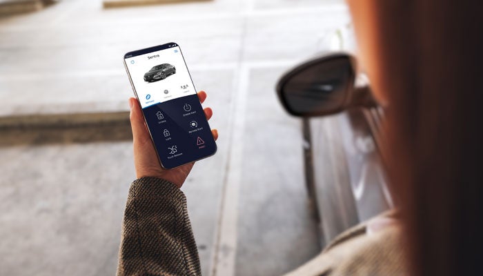 My Nissan in Salinas CA